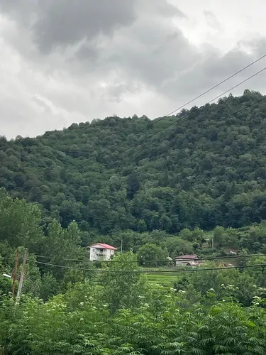 تصویر 62 - ویلا جنگلي مادر  در  ماسال