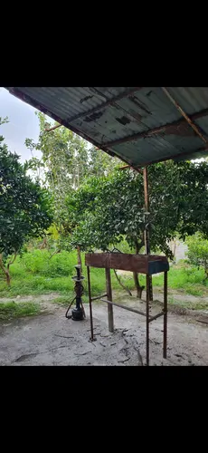 تصویر 3 - ویلا ویلا باغی جکوزی دار در بابل