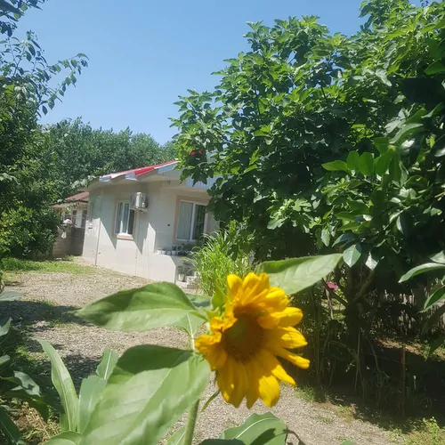 تصویر ۱ - ویلا مزرعه  در  ماسال