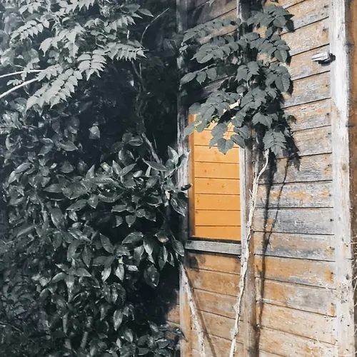 تصویر 3 - کلبه کلبه چوبی قلعه رودخان در فومن