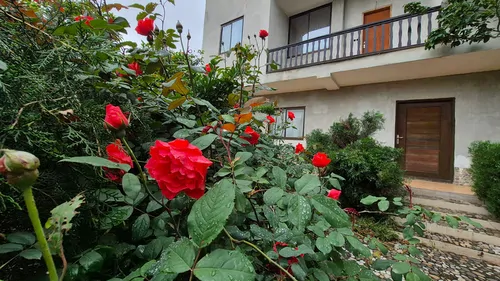 تصویر 13 - ویلا دوبلکس چهره در  بابل
