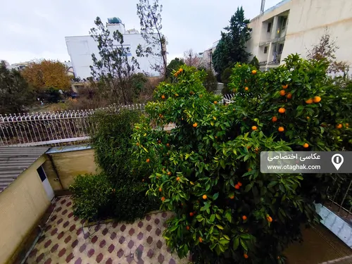 تصویر 3 - آپارتمان مبله ارکیده  در  شیراز