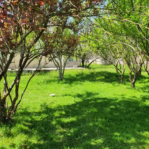 تصویر 11 - ویلا باغ آلوچه  در  ماسال