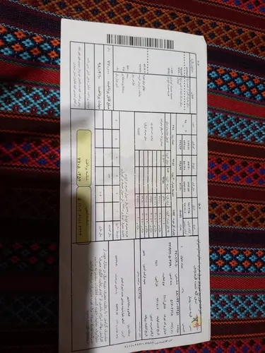 تصویر 3 - ویلا ویلا باغ سالار در رامسر