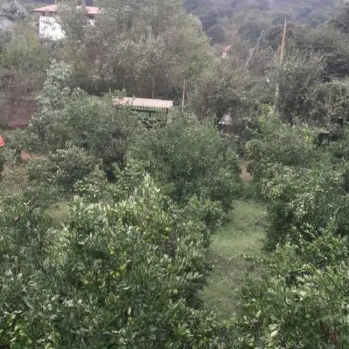 تصویر 2 - ویلا شیدایی در ساری
