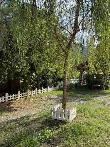 تصویر 15 - ویلا استخردار جنگلی دژ قلعه در  قلعه‌رودخان 