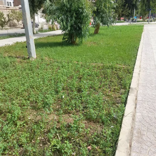 تصویر 3 - سوییت فردین مهدوی در زاهدان