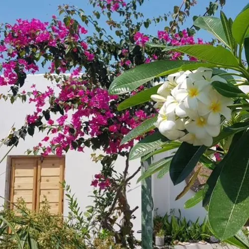 تصویر 3 - اقامتگاه بوم‌گردی کُنار اتاق دریا در هرمز