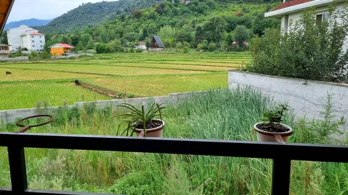 تصویر 22 - کلبه سوئیسی کیکا در ماسال