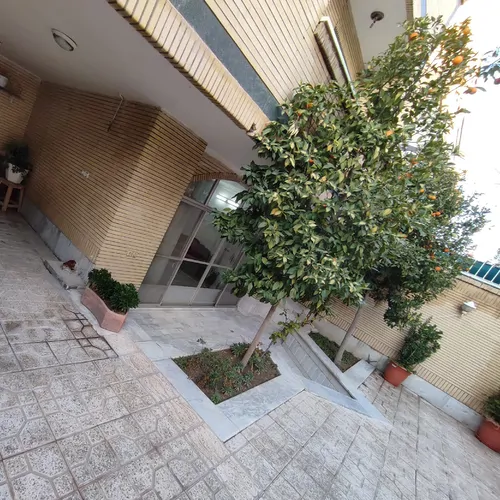 تصویر 16 - خانه گل گندم در  اصفهان