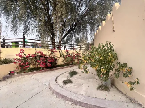 تصویر 14 - اقامتگاه بوم‌گردی صفا آباد سه تخته (113) با صبحانه رایگان  در  قشم