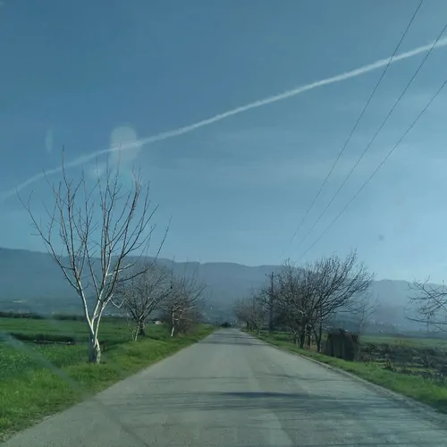 تصویر 3 - ویلا ویلا باغ مهروماه در خلیل شهر