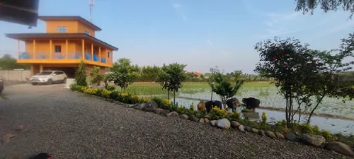 تصویر 3 - کلبه خانه مسافر آلوینا  در رشت