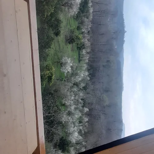 تصویر 5 - کلبه کلبه سوئیسی صفا در  سوادکوه