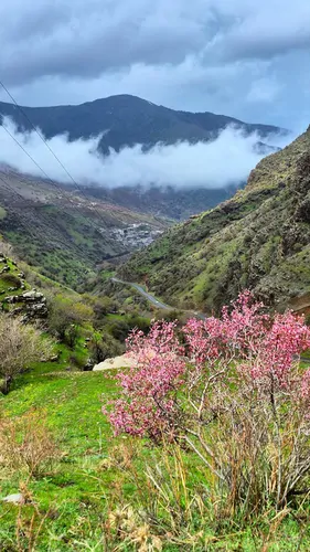 تصویر 23 - خانه مبله نادری در پاوه