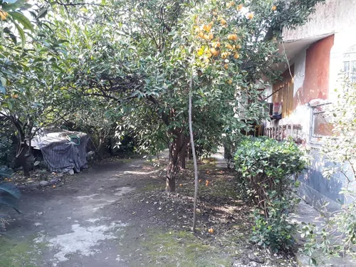 تصویر 11 - ویلا ارجمندی در  نمک آبرود