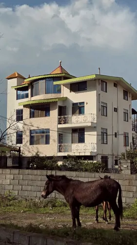تصویر 2 - آپارتمان مبله جنگلی آرام (2) در  رامسر