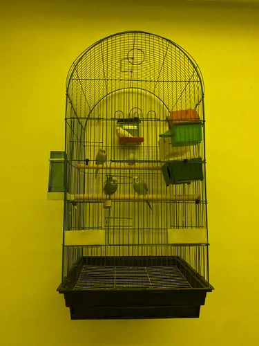 تصویر 8 - ویلا استخردار آبگرم علیزاده شهرکی ساحلی با بیلیارد در  سرخ رود