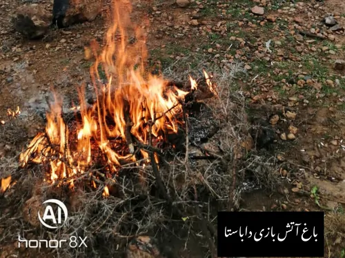 تصویر 4 - آپارتمان خانه داباستا در شیراز