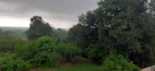 تصویر 5 - ویلا اقامتگاه جکوزی دار جنگلی گلستان در بندر گز