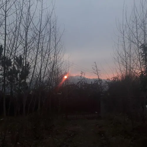 تصویر 22 - ویلا صنوبر در تالش