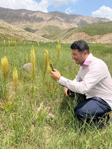 تصویر 4 - آپارتمان هوای خنک با ویوی عالی در آمل