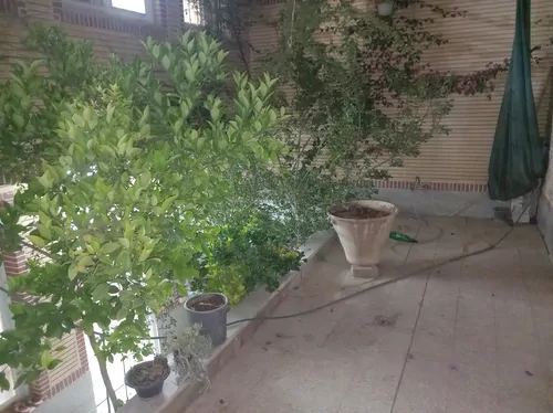 تصویر 9 - خانه بتی جون در کاشان