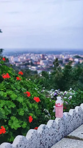 تصویر 11 - ویلا یارا در  بهشهر