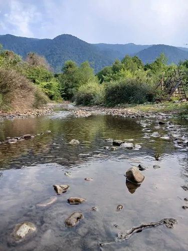 تصویر 13 - ویلا جنگلی نگین سی سنگان در  نوشهر
