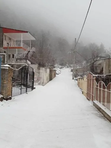 تصویر 4 - ویلا ریگچشمه در علی آباد کتول