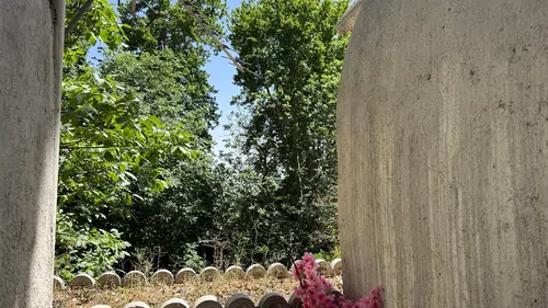 تصویر 13 - اقامتگاه بومگردی آرامش (شمعدانی) در نیاوران با صبحانه رایگان در تهران