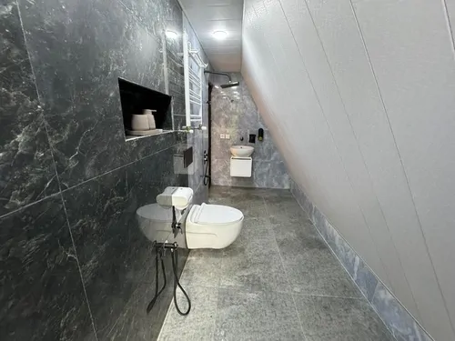 تصویر 15 - کلبه سوئیسی داروین با جکوزی  در  رامسر