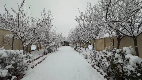 تصویر 23 - ویلا استخردار آبگرم پناه (۱)  در  کردان
