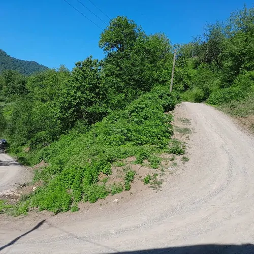 تصویر 5 - روستایی و عشایری جنگلی در  گردنه حیران
