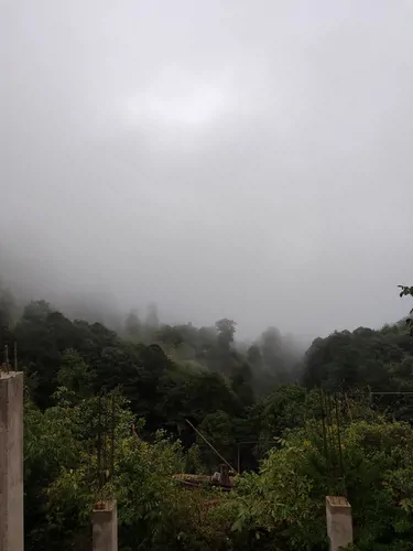 تصویر 3 - کلبه سکوت جنگل در کلاردشت