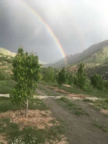 تصویر 11 - ویلا مهرداد  در  خرم آباد
