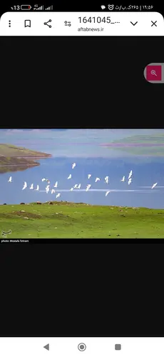 تصویر 26 - ویلا جنگلی آرامش  در  شیرگاه