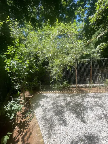 تصویر 10 - کلبه چوبی هابیت نوران  در  کردان