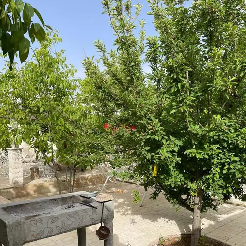 تصویر 3 - ویلا باغ در شیراز