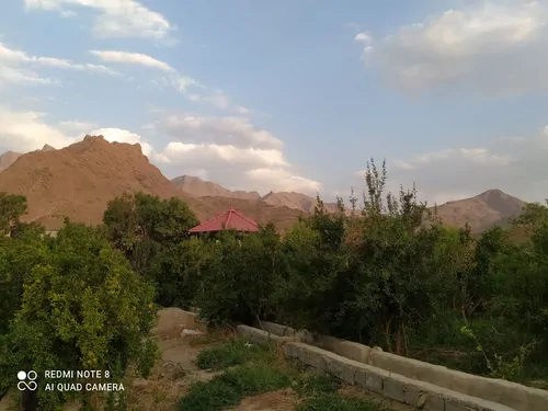 تصویر 4 - کلبه باغ روشنا در تفت