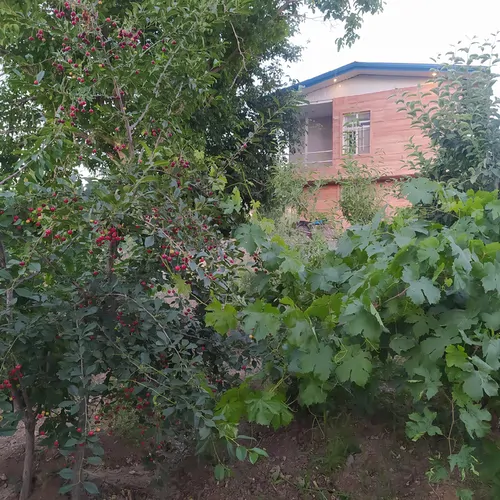 تصویر 12 - ویلا استخردار آبسرد سعادتی در  کامیاران