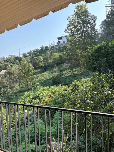 تصویر 19 - ویلا چشم انداز اربه کله در رامسر