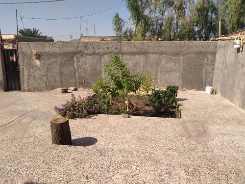 تصویر 7 - اقامتگاه بوم‌گردی نخلستان در  بم