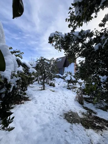 تصویر 21 - کلبه سوئیسی سروستان با جکوزی در سوادکوه