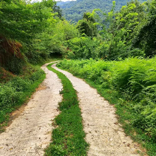 تصویر 28 - اقامتگاه بوم‌گردی  جنگلی فوشه در  قلعه‌رودخان 