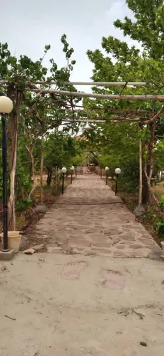 تصویر 4 - ویلا دشت باغ سبز در شیراز