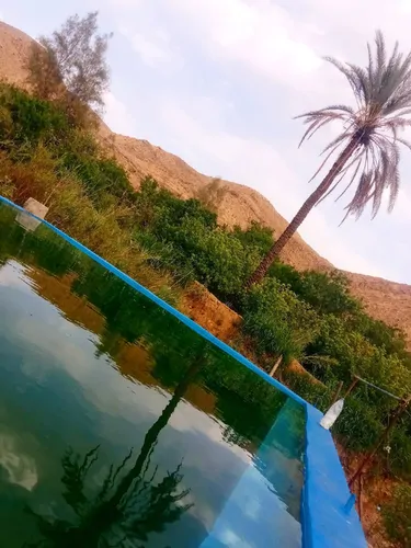 تصویر 2 - سوییت خانه باغ بهشت در جهرم