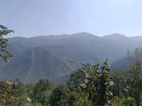 تصویر 2 - سوییت جنگلی مبین در دوهزارشهسوار