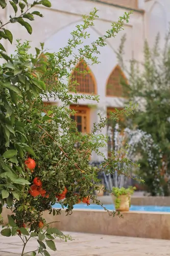 تصویر 21 - هتل سنتی سرای نفیس (اتاق یاقوت) در  کاشان