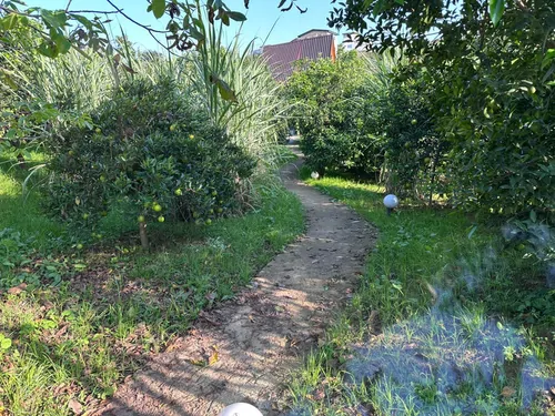 تصویر 5 - کلبه سوئیسی سروستان با جکوزی در سوادکوه